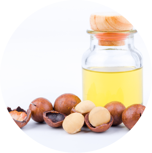 マカデミア種子油