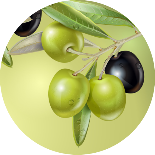 植物性スクワラン